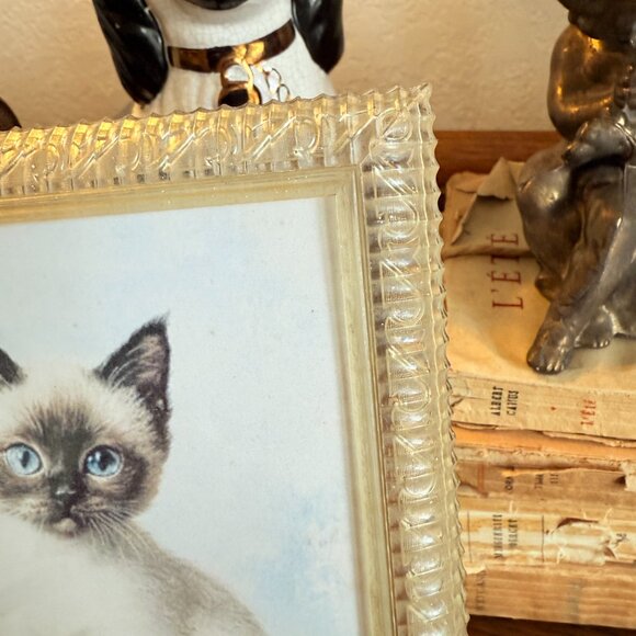 1940's Lucite 5X7 frame with Siamese cat - Picture 4 of 7
